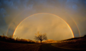 rainbow-image